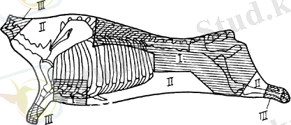 image36