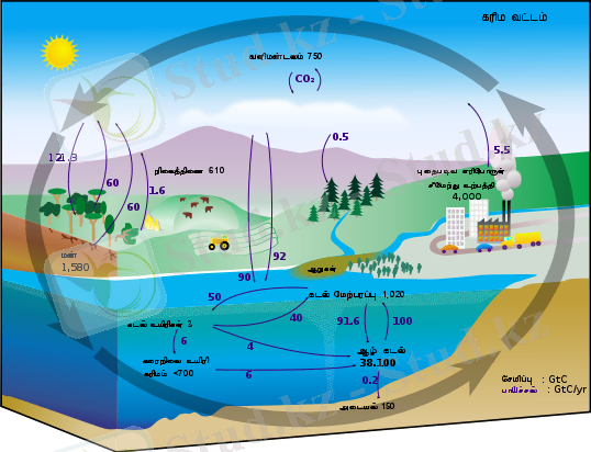 C:\Users\User\Desktop\540px-Carbon_cycle-cute_diagram_ta.svg.png