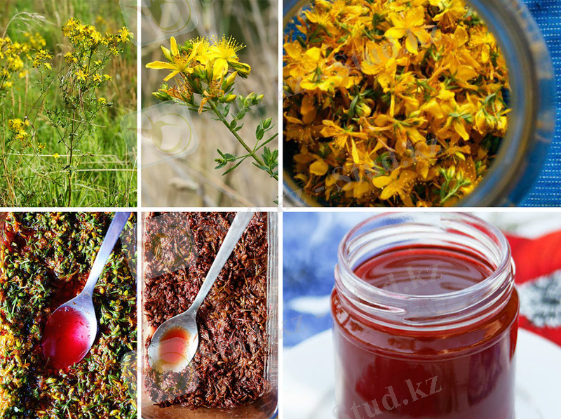 http://phytomedicine.ru/wp-content/uploads/2016/02/nastoika-zveroboya.jpg