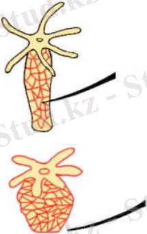 http://itest.kz/upload/images/1349780568.9.jpeg.png