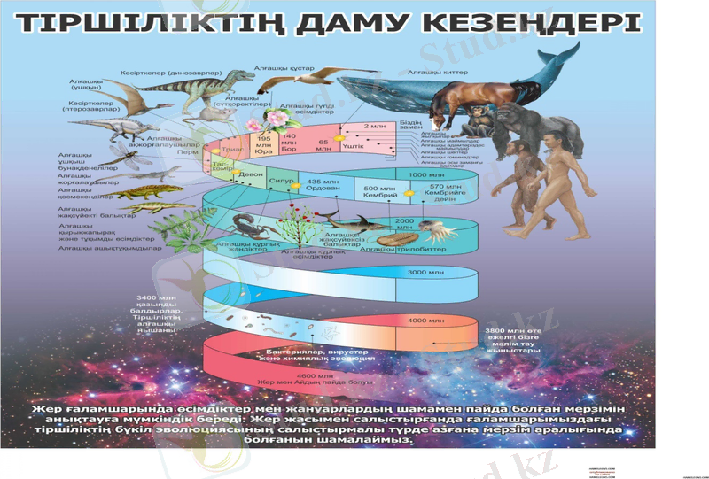 http://umtyl.kz/wp-content/uploads/2015/08/tirshilik1.jpg