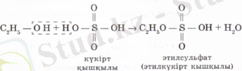 Alkilkukirt.PNG