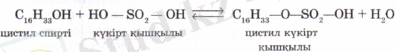 Chictil kukirt kysh.PNG