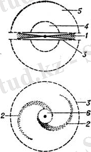 8062-40.jpg