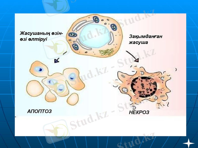 slide-19.jpg
