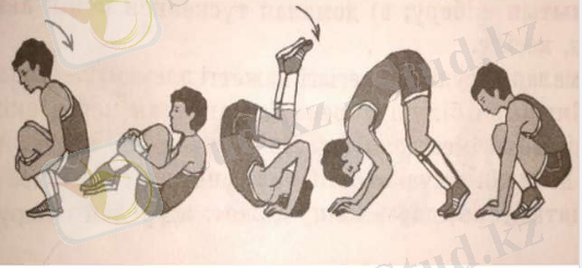 C:\Users\Райхан\Desktop\Снимок.PNG