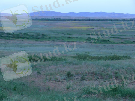 http://www.massaget.kz/userdata/users/user_51387/1386742805.jpg