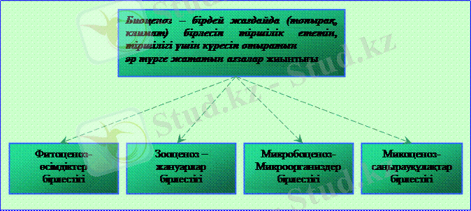 image001.gif