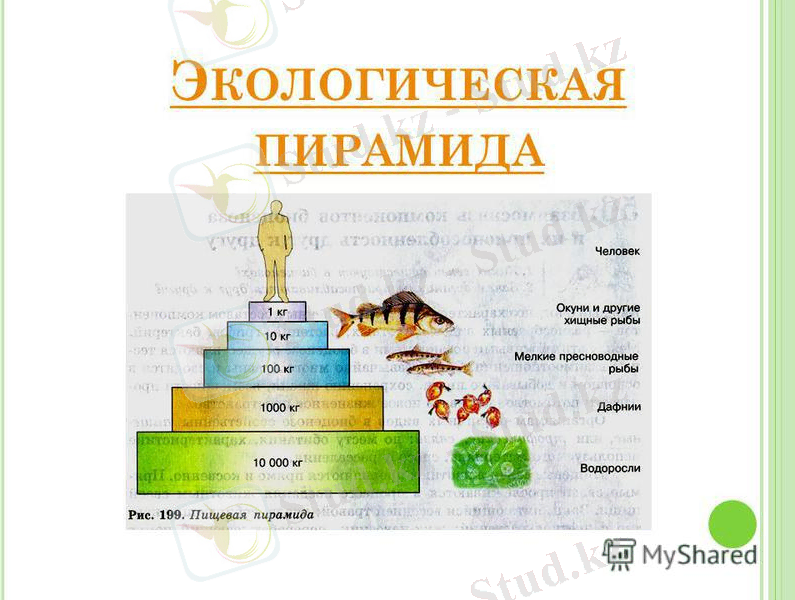 slide_6.jpg