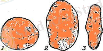 http://ok-t.ru/studopediaru/baza5/2630790464143.files/image015.jpg