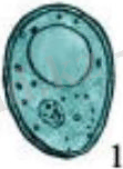 http://itest.kz/upload/images/1349845759.93.jpeg.png