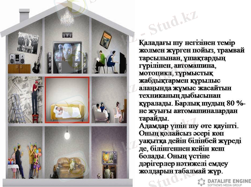 шу 2.jpg