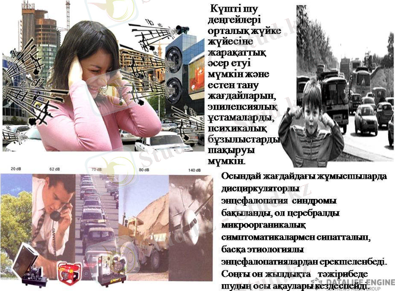 шуу.jpg