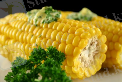 http://www.massaget.kz/userdata/uploads/u51387/corn_cob.jpg