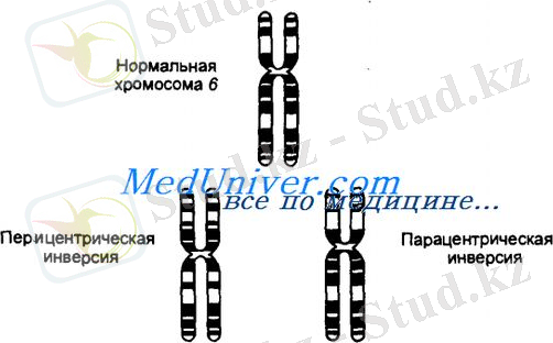 D:\USER\Desktop\картинки\209.jpg