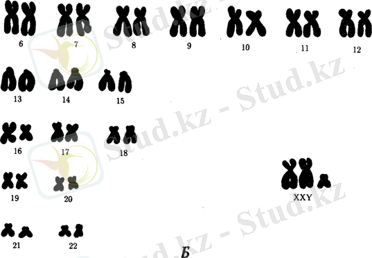 D:\USER\Desktop\картинки\image251.gif