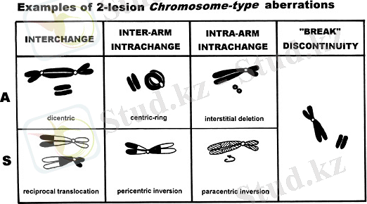 D:\USER\Desktop\картинки\chromaber1.jpg