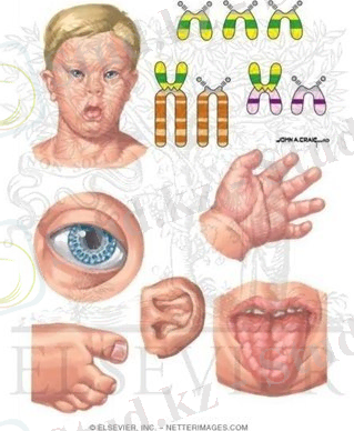 D:\USER\Desktop\UwqJKMgceRk.jpg