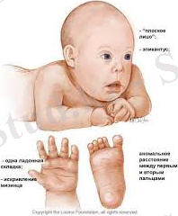 D:\USER\Desktop\загружено.jpg