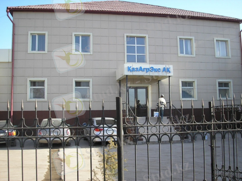 http://www.kazagrex.kz/photo/8966988587ef0db2e6b2f450d5b8697f.jpg