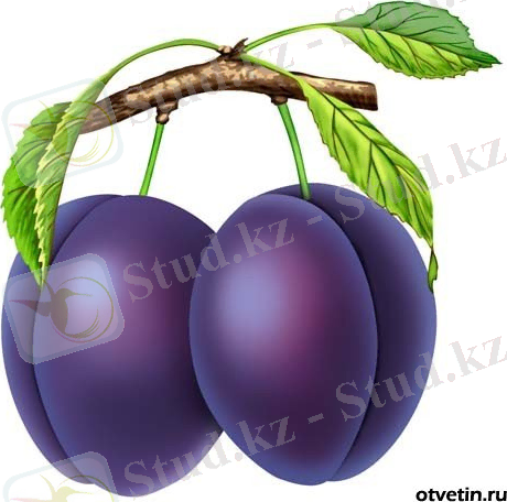 http://mojmirok.ucoz.ru/_fr/10/9727854.jpeg