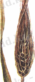 http://portal.agun.kz/e-books/content/Pdnpd1OnB7vfRx4JjIv3/pictures/ris1g.bmp