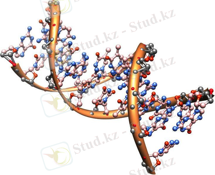 http://img.sci-lib.com/2013/06/25/b_1822_1.jpg