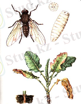 http://kreditagro.com.ua/_pu/12/57900414.jpg