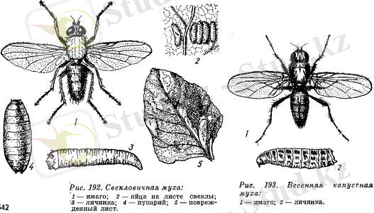 http://agrohimija.ru/uploads/posts/2014-07/1404809344_r192-193.jpeg
