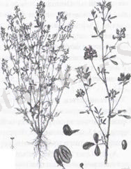 http://ok-t.ru/studopediaru/baza9/125949967614.files/image016.jpg