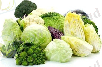 http://www.alimentazionesana.info/wp-content/uploads/2015/10/antitumorali.jpg