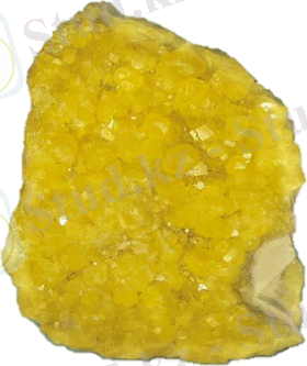 Сам