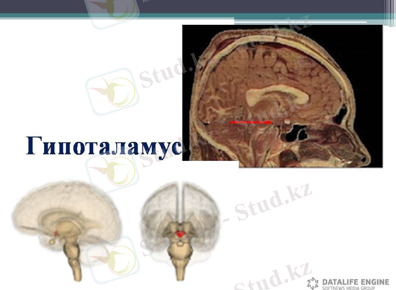 C:\Users\Асия\Desktop\1424678026_slayd3.jpg