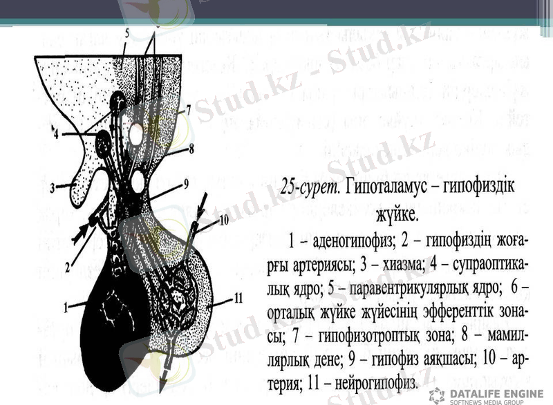 C:\Users\Асия\Desktop\1424678016_slayd6.jpg