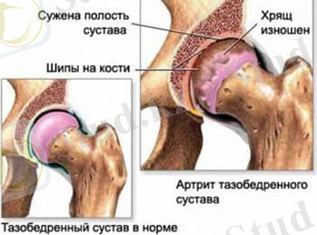 C:\Users\Асия\Desktop\koksit.jpg
