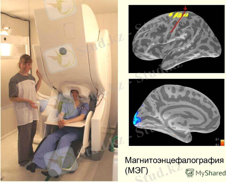 http://images.myshared.ru/543402/slide_23.jpg