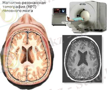 http://xn----8sbipshladf8bya7g.xn--p1ai/img/8.jpg