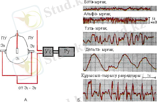 http://vkjournal.ru/vk/html/105/1057953/7417f35f58e4a1dee2f5a431670_html_472ee723.png