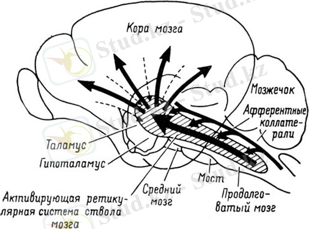 http://habrastorage.org/getpro/habr/post_images/283/88d/acd/28388dacdbc8421399561bd934bb12a6.jpg