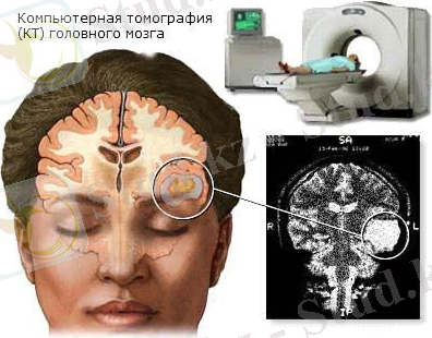 http://xn----8sbipshladf8bya7g.xn--p1ai/img/9.jpg