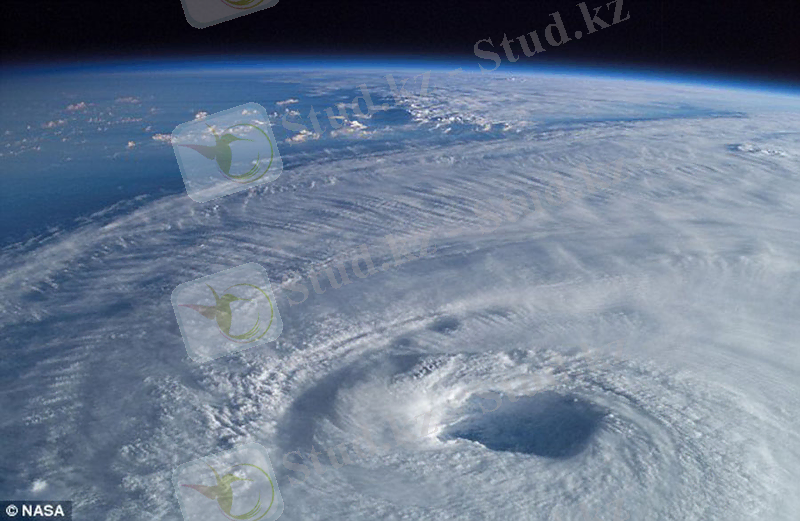 5269_1802388437.jpg