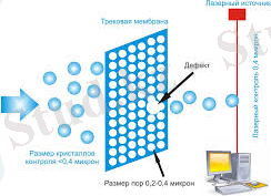 C:\Users\Нуржигит\Desktop\мембрана\images.jpg