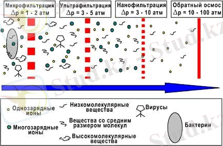 C:\Users\Нуржигит\Desktop\мембрана\200804241952321.jpg