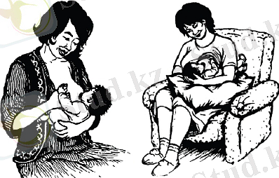 http://orken.info/advice_during_pregnancy/jcms/images/AfterBirth/Combi_1.jpg