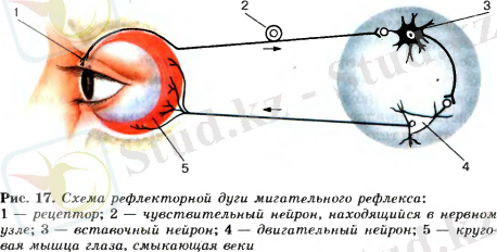 8 9 16 1.png