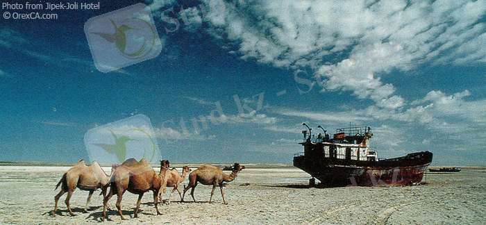 https://steppesinsync.files.wordpress.com/2012/12/aral-sea1-1.jpg