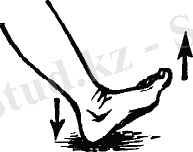 http://www.orken.info/jcms/images/stories/home/8_%D1%81%D1%83%D1%80%D0%B5%D1%82_1.jpg