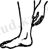 http://www.orken.info/jcms/images/stories/home/8_%D1%81%D1%83%D1%80%D0%B5%D1%82_2.jpg