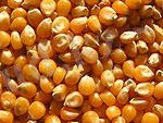 http://upload.wikimedia.org/wikipedia/commons/thumb/7/78/Ab_food_06.jpg/150px-Ab_food_06.jpg