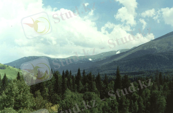 http://klimovka.kz/pages/m5/hex1.gif